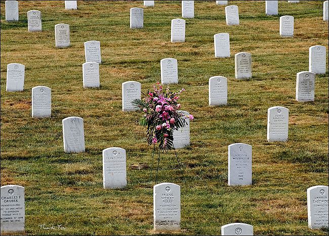 军人栖息的荣耀：由美国陆军部直接管辖的阿灵顿国家公墓 - 2