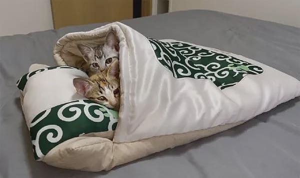 给猫们买了睡袋，放地上它们不用，一放到床上就一起用了！ - 2