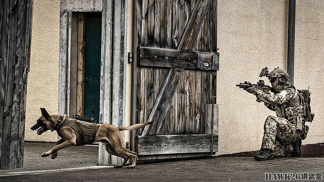 德国KSK特种部队掠影：军犬训练员与狗亲密相处 下班还要带回家 - 4