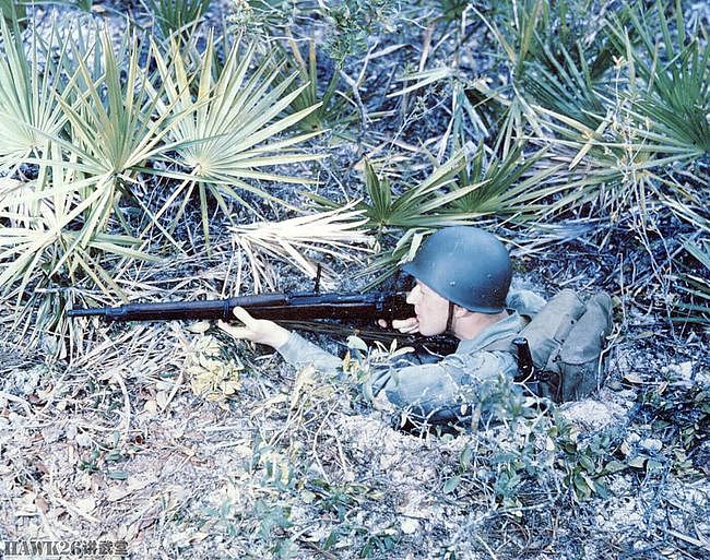 二战时期美军真的需要M1加兰德步枪？被忽视的M1903斯普林费尔德 - 7