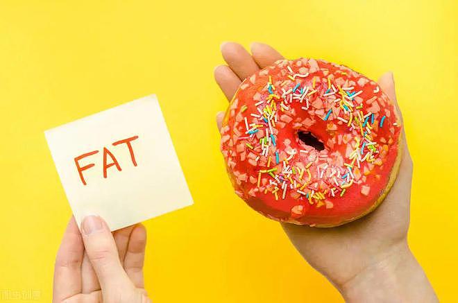 减肥期间，如何对抗饥饿感？5个方法提升减肥成功率 - 4