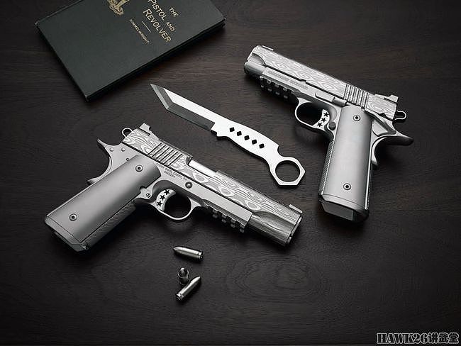 卡博特“宁静”1911手枪 全部零件由416不锈钢制造 缺点只有价格 - 1