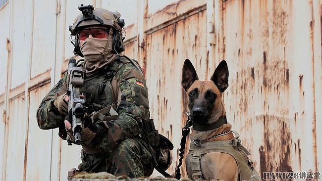 德国KSK特种部队掠影：军犬训练员与狗亲密相处 下班还要带回家 - 3