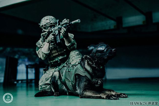 波兰陆军JWK特种部队发布最新宣传照 军犬成主角“武装到狗头” - 2