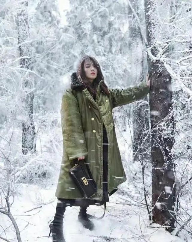 刘涛重回巅峰！新剧开播大爆火，她穿军大衣在雪地凹造型没翻车 - 5