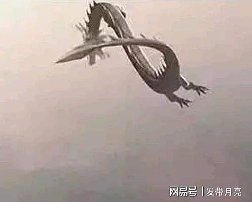 科学家推测龙真的存在，2000年黑山子的坠龙事件可能是证据 - 1