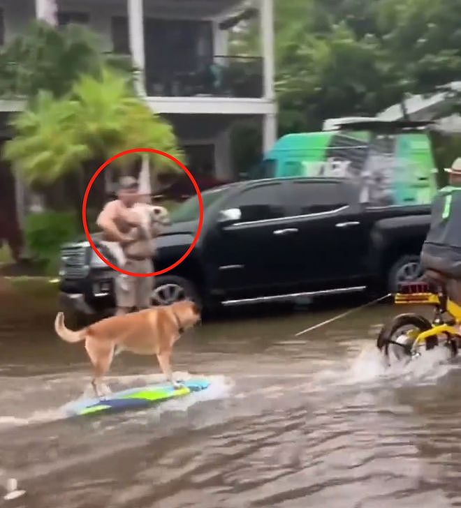 暴雨淹没街道，正发愁怎么出门时...看到一只狗在冲浪？ - 2