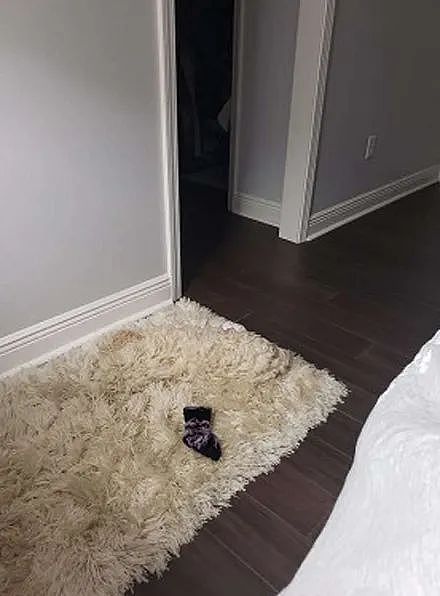 主人新买了一个地毯，结果狗子躺进去秒隐身，主人：每次都怕踩到 - 4