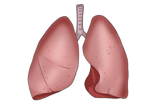 秋天容易肺气不足，为什么？常按2个穴位，有助于肺健康 - 1