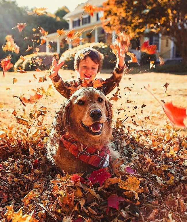 本想给狗子拍美美的秋景照，可看到实照，网友笑翻！ - 1