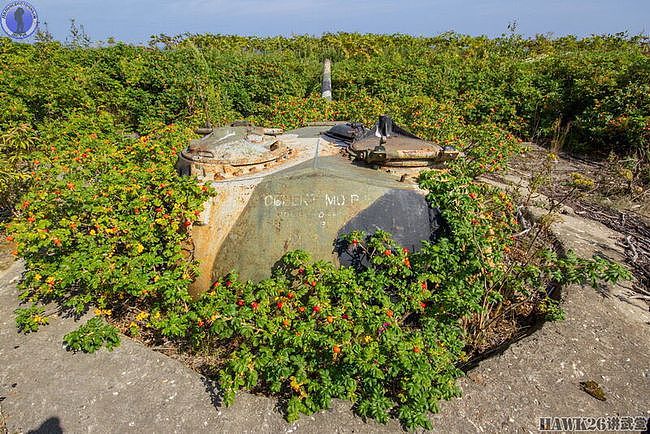 库页岛的最后防线：T-54坦克炮塔构筑炮兵阵地 如今已变成了废铁 - 34