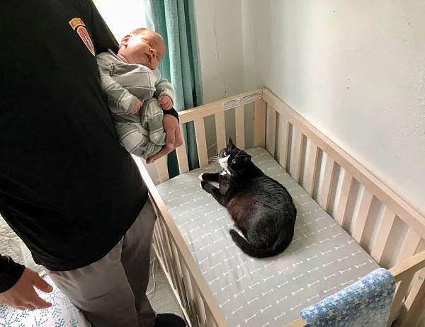 宝宝睡着了，准备抱进婴儿床，结果发现猫已经在那了！ - 1
