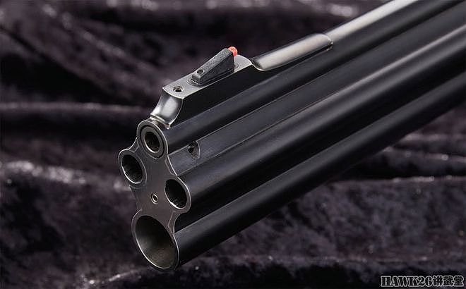 图说：奥斯瓦尔德·普林茨精美作品欣赏 代表德国新一代枪械王朝 - 9