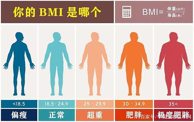 研究发现：对于体重指数和体型而言，男性似乎更没有“自知之明” - 2