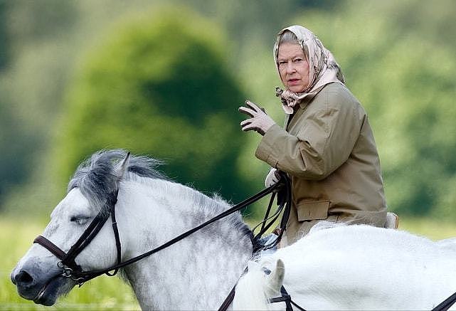 英女王96岁生日官方照出炉！穿斗篷衣牵着马儿亮相，对梅根心软了 - 5