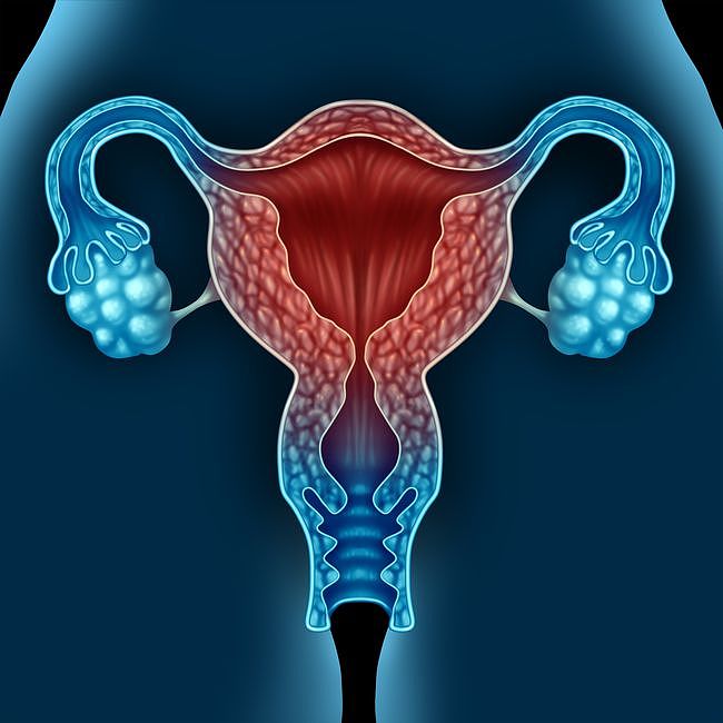 女性有俩卵巢，为什么每月只有一侧在排卵？ - 7