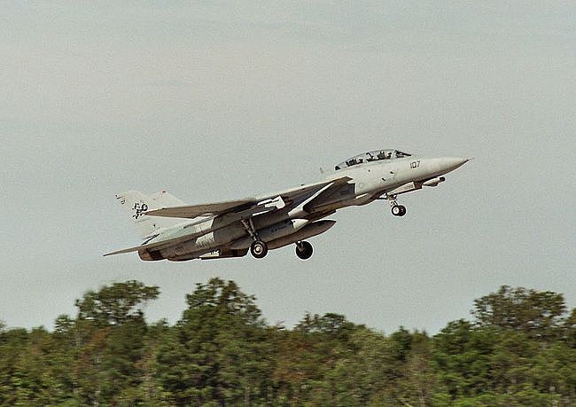 图记美国海军F-14“雄猫”舰载机2006年退役仪式现场 - 12