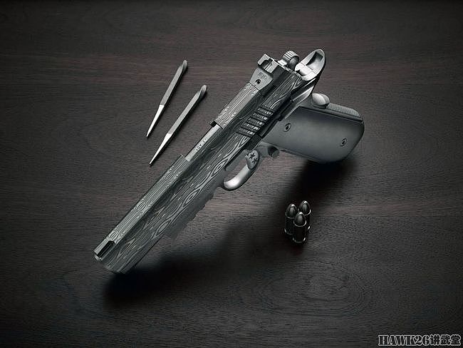 卡博特“宁静”1911手枪 全部零件由416不锈钢制造 缺点只有价格 - 9