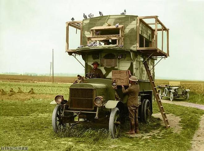 第一次世界大战染色照片：先进技术为历史注入活力 触摸生动瞬间 - 14