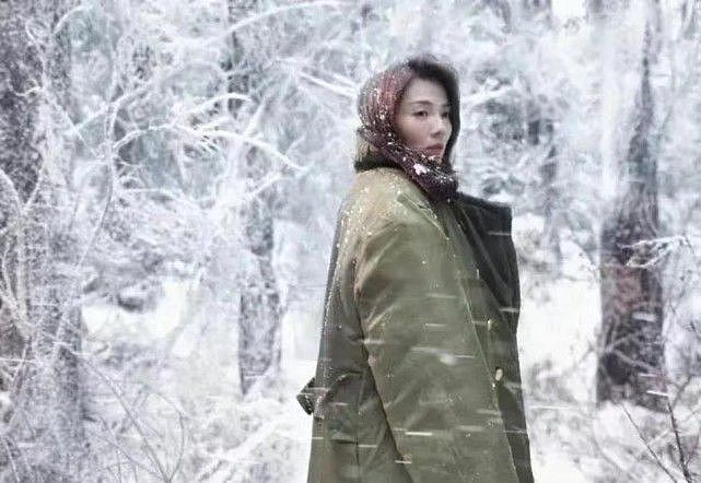 刘涛重回巅峰！新剧开播大爆火，她穿军大衣在雪地凹造型没翻车 - 7