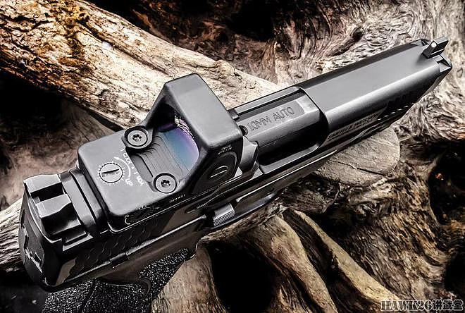 评测：史密斯-韦森M&P 10mm手枪 全系列威力最大 对抗黑熊袭击 - 3