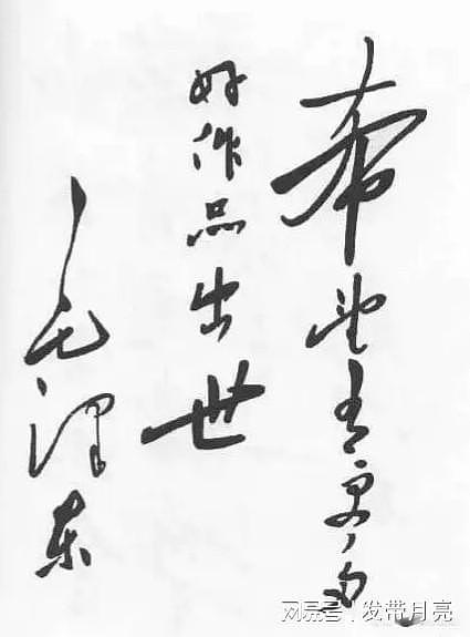 毛主席书法和蒋介石书法的截然不同：一草书，一楷书，字如其人 - 8