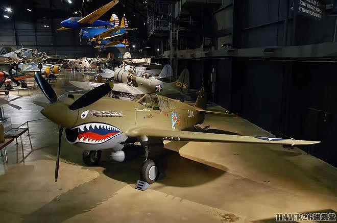 P-40战斗机在北非两次俯冲 却成就了刺杀希特勒 战争中的蝴蝶效应 - 17