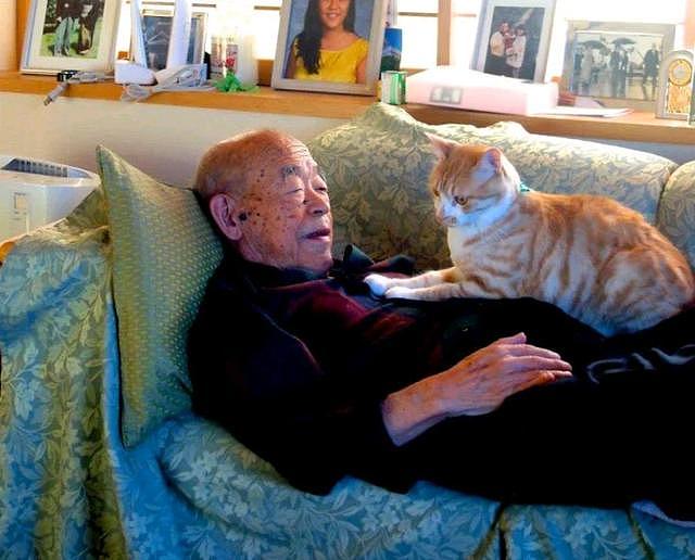 94岁爷爷患有易怒症，家人不敢同住，唯独“橘猫”能把他降服！ - 5