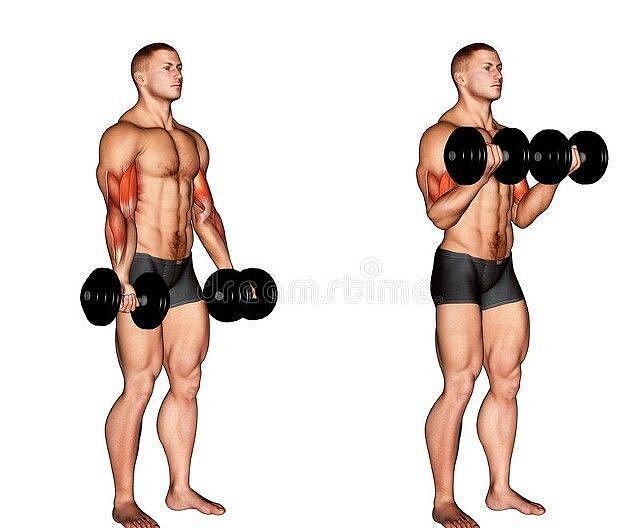 如何快速增加手臂围度？1套训练方法，让你的手臂肌肉更强壮有力 - 6
