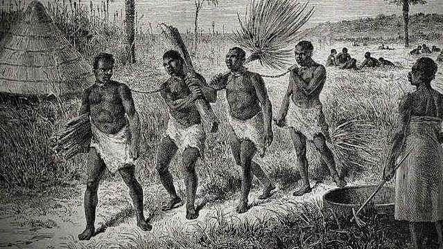 为什么中美洲的海地是个黑人国家？1915年1月27日美国占领海地 - 3