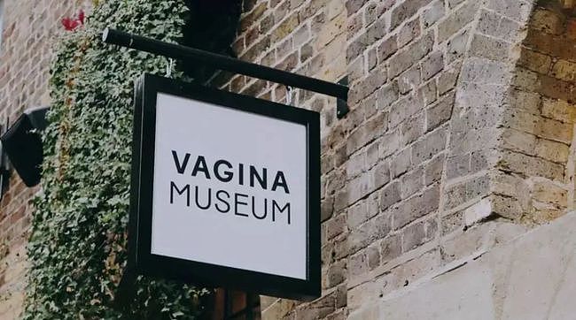 只开2年的“阴道博物馆”关闭，扒光了中国女孩最羞耻的秘密！ - 2