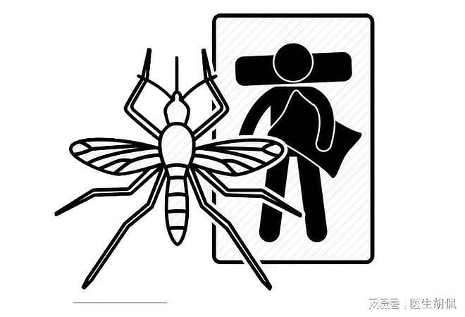 体胖的人更容易遭受蚊子叮咬：5个防蚊小妙招，让蚊子离你而去 - 3