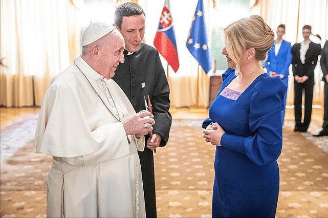48岁斯洛伐克美女总统接待罗马教皇！泡泡袖蓝裙太惊艳，有富态感 - 4