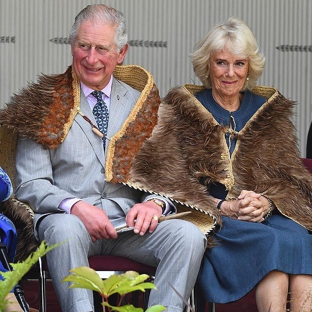 查尔斯夫妇亮相招待会！74岁卡米拉穿墨绿色长褂好美，很有王后范 - 2