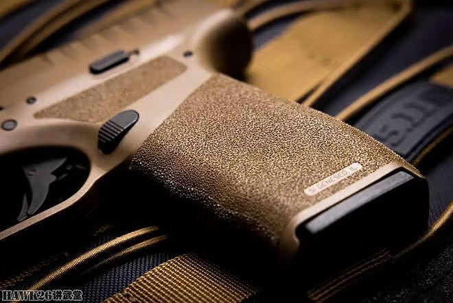 斯普林费尔德兵工厂公司“地狱猫Pro”FDE 新推出的理想自卫手枪 - 11