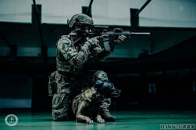 波兰陆军JWK特种部队发布最新宣传照 军犬成主角“武装到狗头” - 6