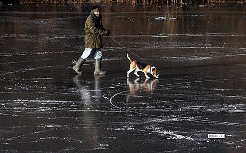 北京男子冰上遛狗坠亡，家属向水务局索赔62万，法院判决主持公道 - 1