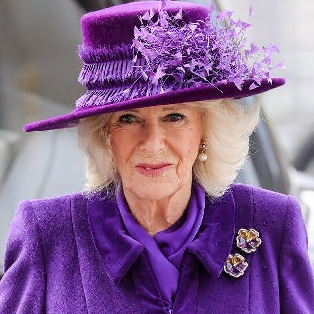74岁卡米拉风头十足！穿碎花裙似老奶奶，紫色大衣反衬出王后风范 - 19