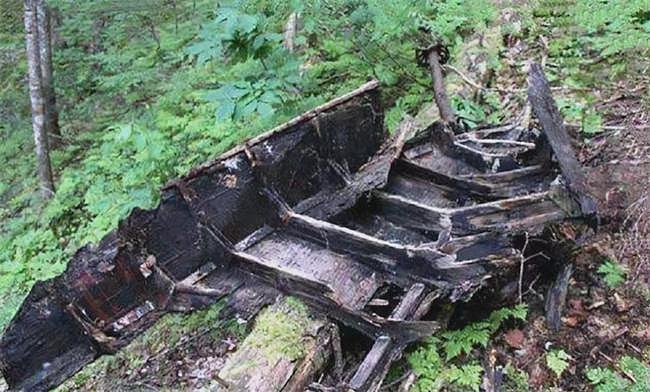 广西村民采药在山中迷路，意外发现坠毁飞机，揭开尘封多年的历史 - 12
