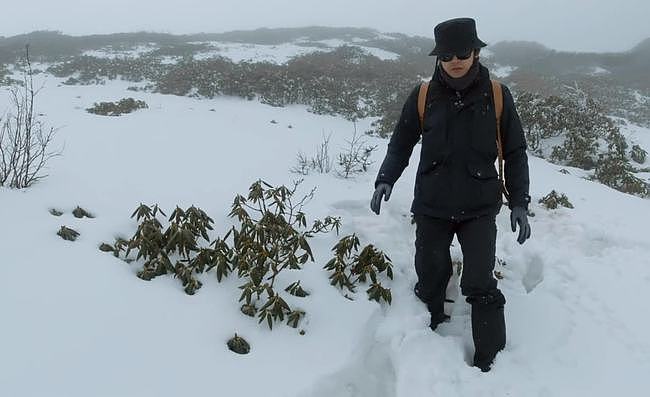 46岁钟汉良重走长征路！零下爬雪山环境艰险，走路手脚并用引泪目 - 3