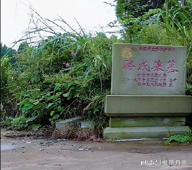 资中县骆成骧墓，清朝唯一的四川籍状元，坟冠与身份有点不匹配 - 3