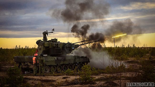 芬兰陆军防空部队实弹演习“神枪手”高炮现身 机枪成为最后手段 - 2