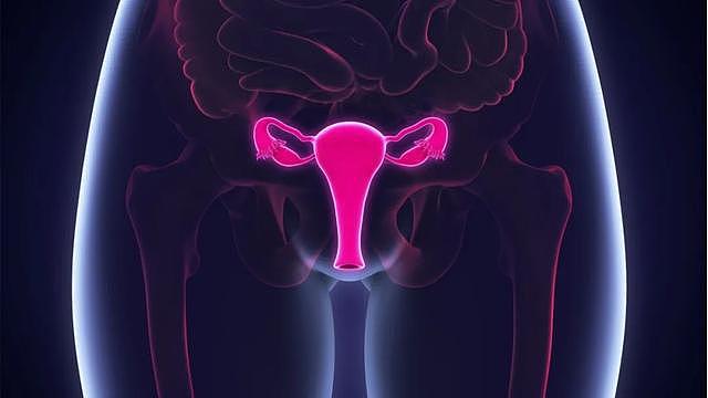 70%的卵巢癌确诊时已是晚期！反复腹胀、胃口差，需警惕 - 2