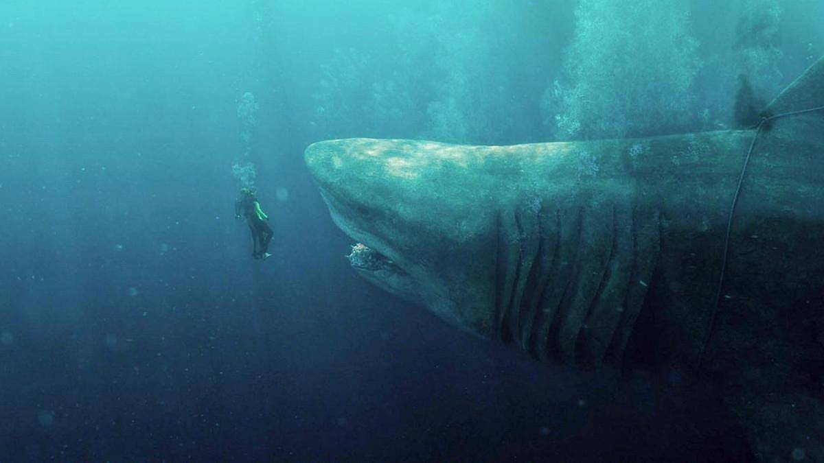 吴京确认出演《巨齿鲨2》，与杰森斯坦森首次合作，走向国际舞台 - 8