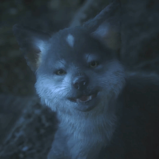 《最终幻想16》公布小狼托加尔宣传视频 帮助主角探索与战斗 - 3