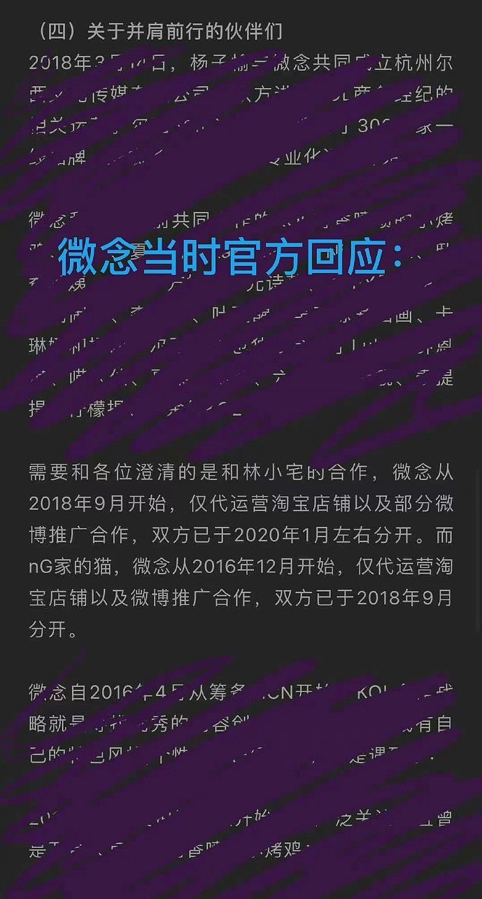 微念老套路被曝光，公司年赚十六亿，李子柒恐一无所有 - 5