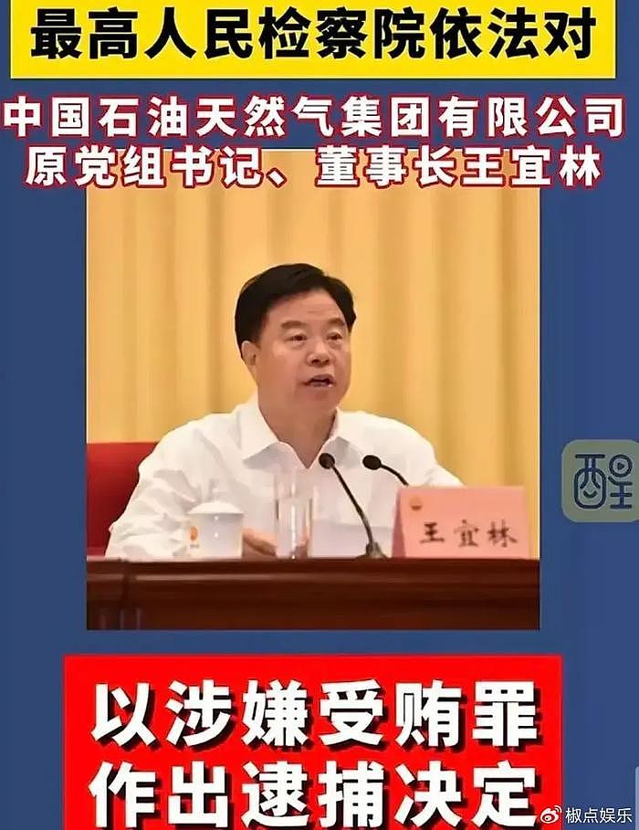 突发！中石油董事长王宜林涉嫌受贿被抓！评论区炸锅，网友怒了 - 2