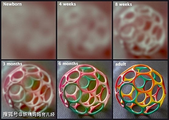 宝宝学走路越早越好？宝宝学走路的“最佳月份”，太早太晚都不好 - 5