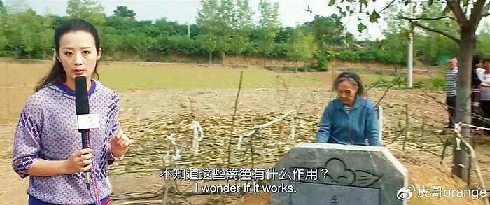 台湾的张艾嘉，在内地拍了一部“迁坟”的电影，治好了我的精神内耗 - 11