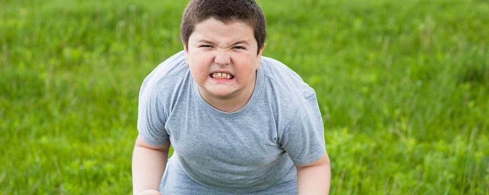 儿童肥胖原因 零食吃多会引起肥胖吗